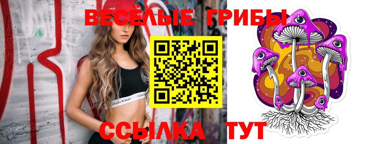Псилоцибиновые грибы Psilocybine cubensis Советская Гавань
